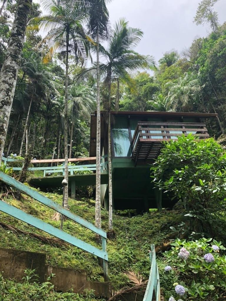 لوميار Recanto Dos Sonhos Guest House المظهر الخارجي الصورة
